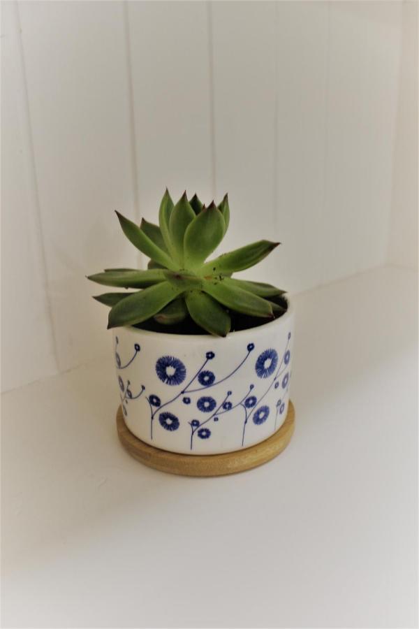 דירות אנה קאפרי La Maiolica מראה חיצוני תמונה